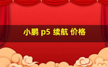 小鹏 p5 续航 价格